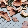 Dalen Pond and Pool Mesh Protective Netting, 28' x 45' - 2 of 4