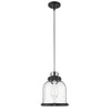 Z-Lite Burren 1 - Light Pendant in  Matte Black/Chrome - 3 of 4