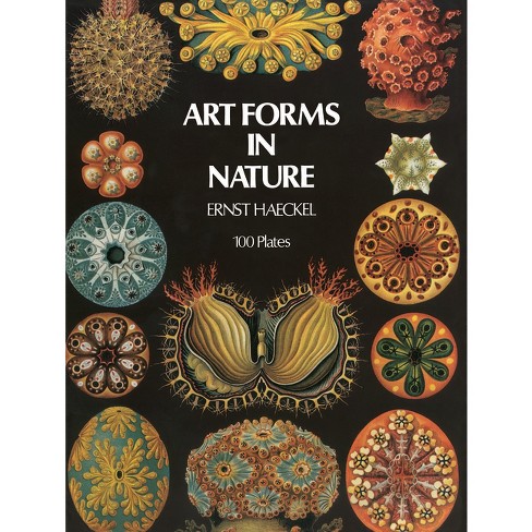 Art Forms In Nature - (dover Pictorial Archive) By Ernst Haeckel  (paperback) : Target