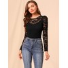 INSPIRE CHIC Women's Vintage Semi-Sheer Puff Long Sleeve Embroidery Lace Floral Blouse - 2 of 4