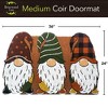 Briarwood Lane Fall Coir Doormat 36x24 Fall Gnomes Medium For Fall Coir Doormat - 3 of 3