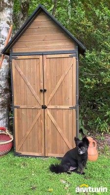 Dark Brown Fir Wood Outdoor Storage Shed with Shelving