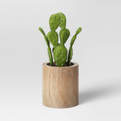 Photo 1 of Medium Cactus Wood Pot - Threshold