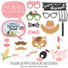 Big Dot of Happiness Girl Farm Animals - Pink Barnyard Baby Shower or Birthday Party Photo Booth Props Kit - 20 Count - 2 of 4