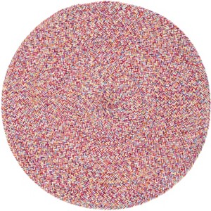 Braided BRD351 Hand Braided Area Rug  - Safavieh - 1 of 3