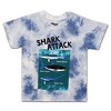 10 Threads Boy's 2-Pack Short Sleeve Shark and Dinosaur Patterned Tee Shirt Set for Kids - 4 of 4