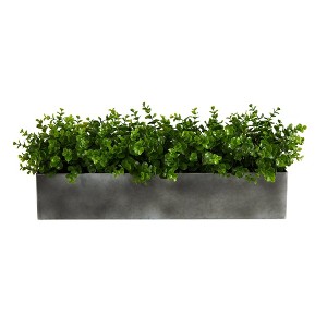 Nearly Natural 25-in Eucalyptus Artificial Plant - 1 of 4