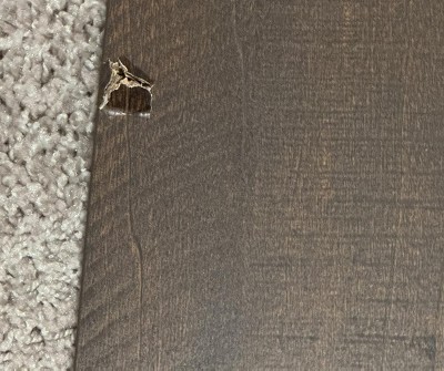 Guest review image 3 of 3, zoom in