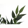 Vynxaria Artificial Plant, 47" Tall, Acacia Tree, Indoor, Faux, Fake, Floor, Greenery, Potted, Silk, Decorative, Green Leaves, Black Pot - 2 of 4