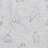 gray rabbit