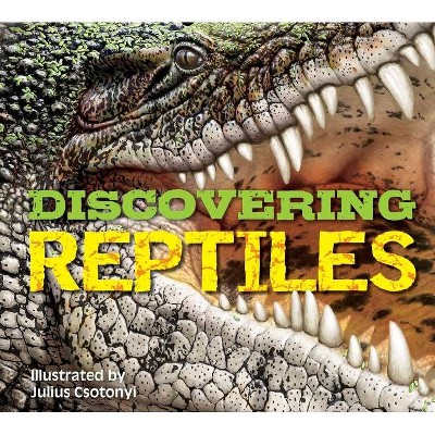 Discovering Reptiles - (Hardcover)