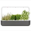 Click & Grow Indoor Italian Herb Gardening Kit, Smart Garden 9 with Grow Light and 36 Plant Pods - 2 of 4