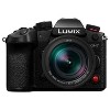 Panasonic LUMIX GH7 Micro Four Thirds Mirrorless Camera with 12-60mm Leica Lens - 3 of 3