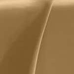 camel gold