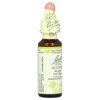 Bach Original Flower Remedies, Mustard, 0.35 fl oz (10 ml) - 4 of 4