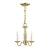 Livex Lighting Williamsburgh 3 - Light Chandelier in  Polished Brass - 4 of 4