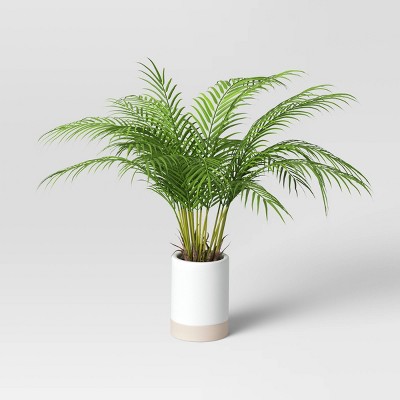 Palm in white Ceramic Pot - Threshold™