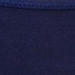 medieval blue