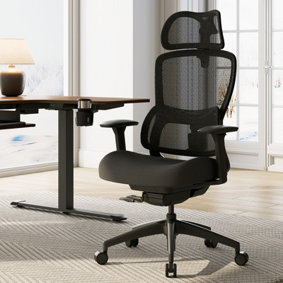 EUREKA ERGONOMIC Lark, Adjustable Lumbar Office Chair