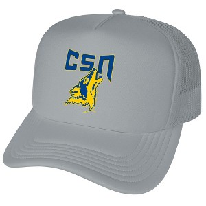 College Of Southern Nevada Primary Logo Foam Trucker Cap Grey Os - 1 of 4