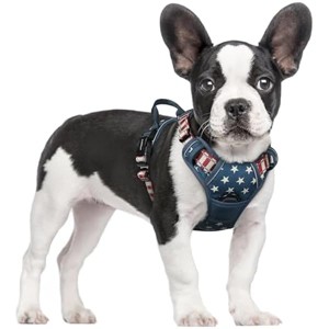rabbitgoo Dog Harness No Pull with 2 Leash Clips, Control Handle for Large Dogs, Blue Star, S - 1 of 1