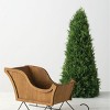 Sullivans Artificial Cedar Tree 22"H Green - 4 of 4
