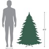 Northlight Real Touch™️ Potted Sierra Norway Spruce Slim Artificial Christmas Tree - 4.5' - Clear Lights - 4 of 4