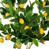 Northlight 45" Potted Green and Yellow Artificial Lemon Tree In a Black Pot - 2 of 4