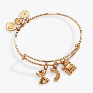 Alex and Ani Pasta Multi Charm Bangle Bracelet - 1 of 3