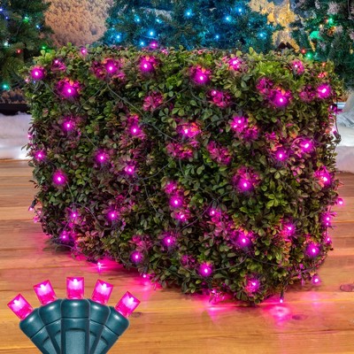 Novelty Lights 4x6 Net Lights, 100 LEDs with 4 Inch Spacing, 5mm Wide Angle Bulbs, Connectable End To End, Indoor/Outdoor