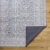 Hauteloom Thera Living Room, Bedroom Machine Washable Area Rug - Traditional - 3 of 4