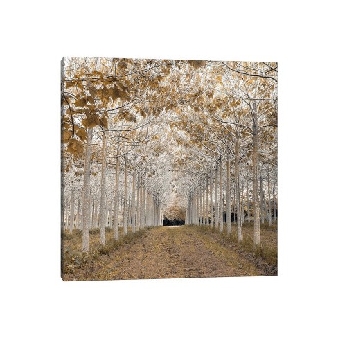 White Gold by Assaf Frank Unframed Wall Canvas - iCanvas - image 1 of 4