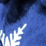 snowflake blue