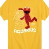 Boys' - Sesame Street - Elmo Aquarius Short Sleeve Graphic T-Shirt - 2 of 4
