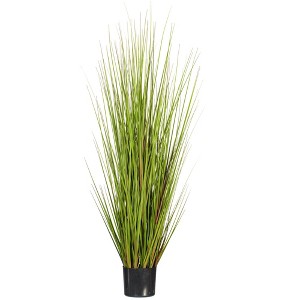 Green/Burgundy Flax Grass Potted - 1 of 4