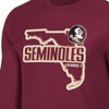 NCAA Florida State Seminoles Men's Long Sleeve T-Shirt - 3 of 3