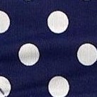 navy w- white polka dot