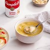 Campbell's Condensed Chicken Won Ton Soup - 10.5oz - 2 of 4
