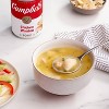 Campbell's Condensed Chicken Won Ton Soup - 10.5oz - image 2 of 4