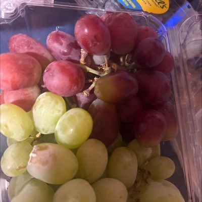 Guest review image 2 of 2, zoom in