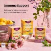 Yogi Tea Elderberry Lemon Balm Immune & Stress Tea - 16 Tea Bags per Pack (6 Packs) - 3 of 3