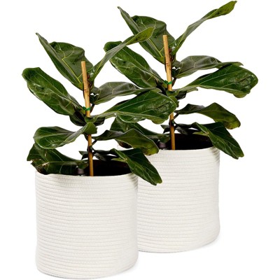 Juvale 2 Pack Rope Planter Basket with Plastic Liner for Indoor Planting, White, 10 x 11 in.