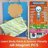 QUOKKA Magnetic Puzzles for Kids – Montessori Puzzles for Toddlers 3-5 – Preschool Game Learning Human Body Parts Anatomy Skeleton - 3 of 4