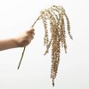 31"H Sullivans Artificial Christmas Modern Amaranth Spray  Indoor Christmas DÃƒÂ©cor - 3 of 3