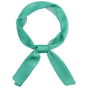 INSPIRE CHIC Women's Solid Contrast Color Pleated Long Satin Neck Scarves 49.2"x4.3" 1 Pc - 1 of 4