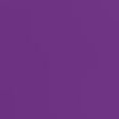 eggplant