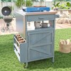 40.5" Outdoor Grill Cart with Stainless Steel Top, Rolling Buffet Serving Cart with Drop Leaf, Patio Kitchen Island Cart for Garden Poolside - 2 of 4