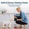 Blue Buffalo Bits Natural Soft-Moist Training Dog Treats with Beef Recipe - 4 of 4