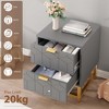 2 Drawer Dresser, Small Chest, Modern Nightstand for Bedroom, End Table with Drawer for Living Room, Hallway, Entryway - 4 of 4