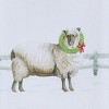 Park Designs Merry Christmas Ewe Dishtowel Set of 2 - 3 of 4
